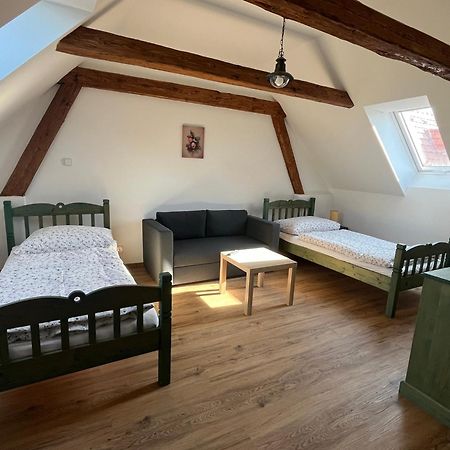 Apartmany Statek Bezdedice Hostomice ภายนอก รูปภาพ