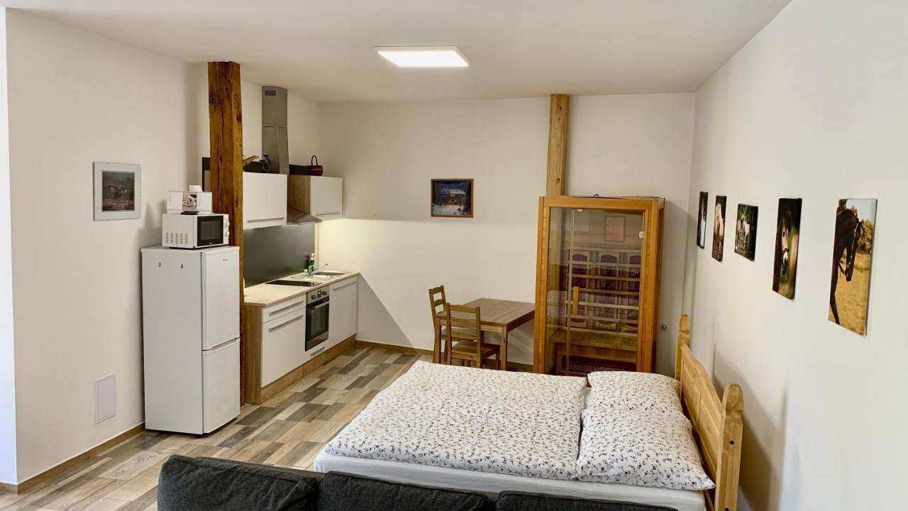 Apartmany Statek Bezdedice Hostomice ภายนอก รูปภาพ